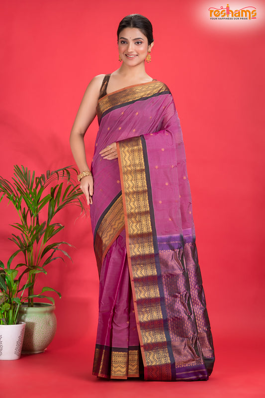 Sico Gadwal